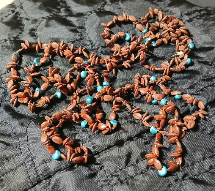 Vintage Hawaiian Koa Seed Necklace With Turquoise Shells