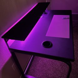 Lynxtyn 48” Gaming Desk With LED Lighting