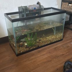 30 Gallon Fish Tank 