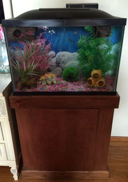 20 gallon aquarium with wood stand