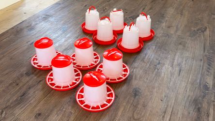 Comedero y Bebedero para ave $5 cada uno