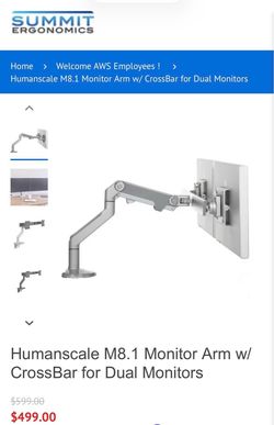 Monitor dual mount