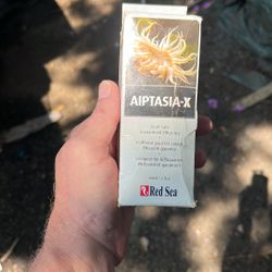 Aiptasia-x By Red Sea