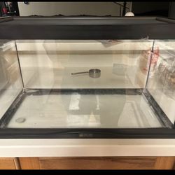 10G terrarium with pad and light
