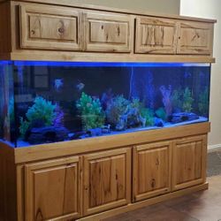 Fish Tank; 240 Gallon  