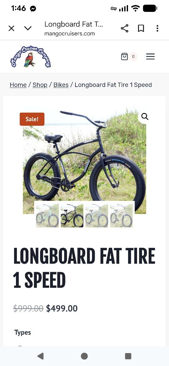 Fat Tire Bike