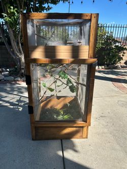 Reptile enclosure