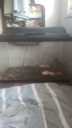 Reptile tank