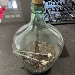 18" Tall Glass Plant Terrarium w/ Miniature Rake Shovel Soil Activated Carbon