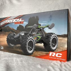 Powerful 1:18 RC Car