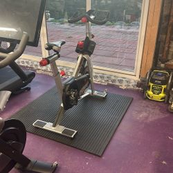 Stationary Bike Free Motion S11.9 Cycle Bike