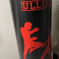 65” Punching Bag With Gloves