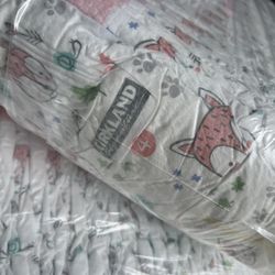 Kirkland Signature Diaper Size 4