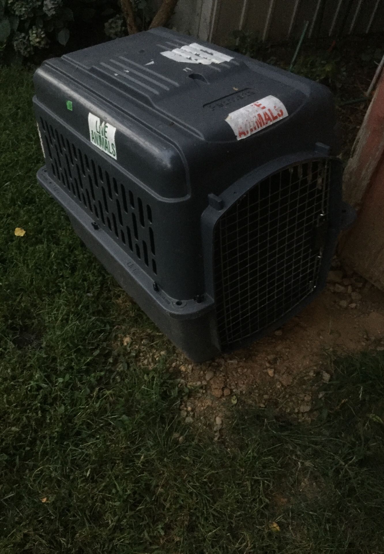 Dog kennel carrier
