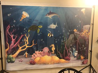Brand new ocean backdrop PERFECT condition