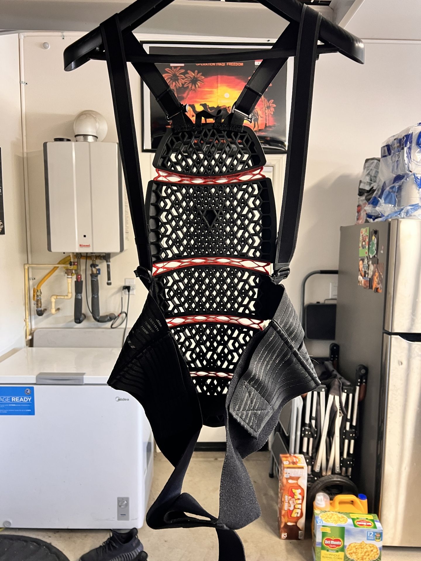 Dainese Pro Armor Back Protector