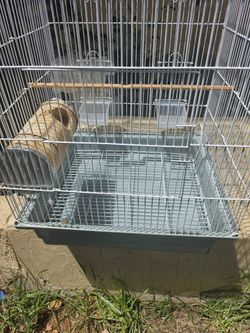 Bird Cage