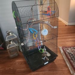 Bird Cage