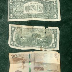 Para Coleccionar Raza 