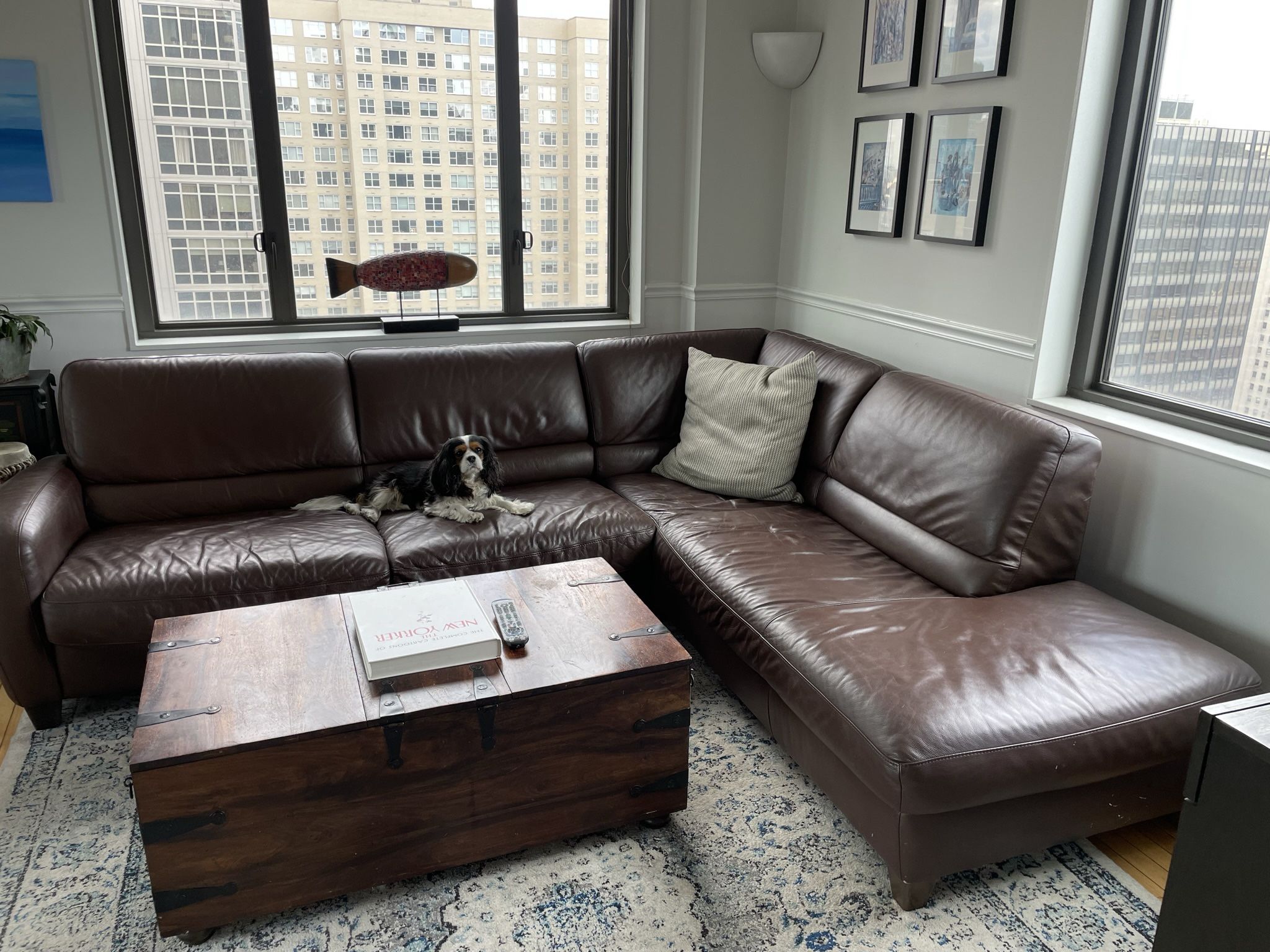 Leather Sectional With Pull Out Bed