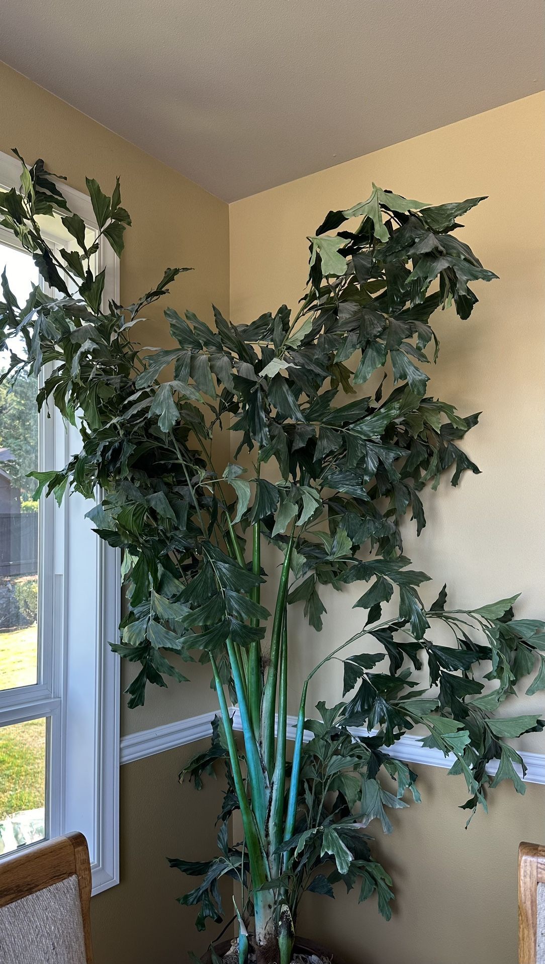 Artificial Palm Tree