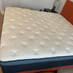 Helix Twilight Luxe Queen Mattress 