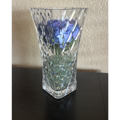 Beautiful flower plant