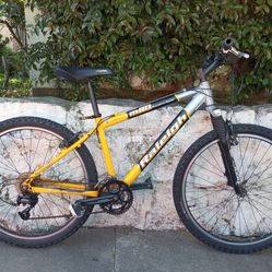Raleigh M80 refurbished