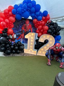 Spidermen Setup