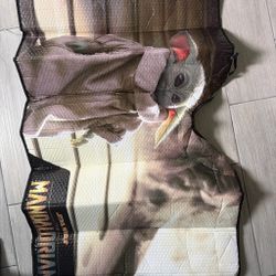 Star Wars sun shade