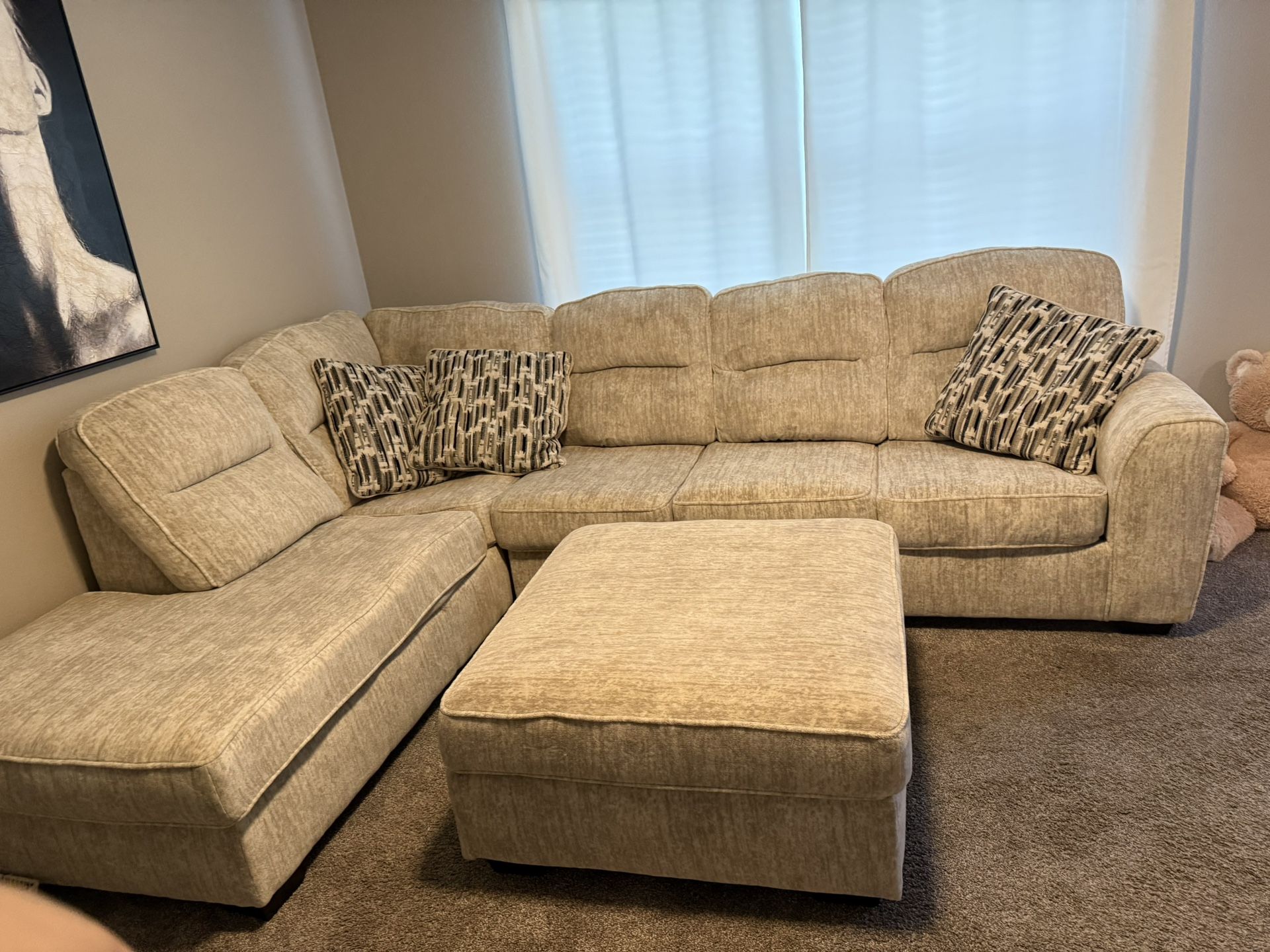 Sectional Couch