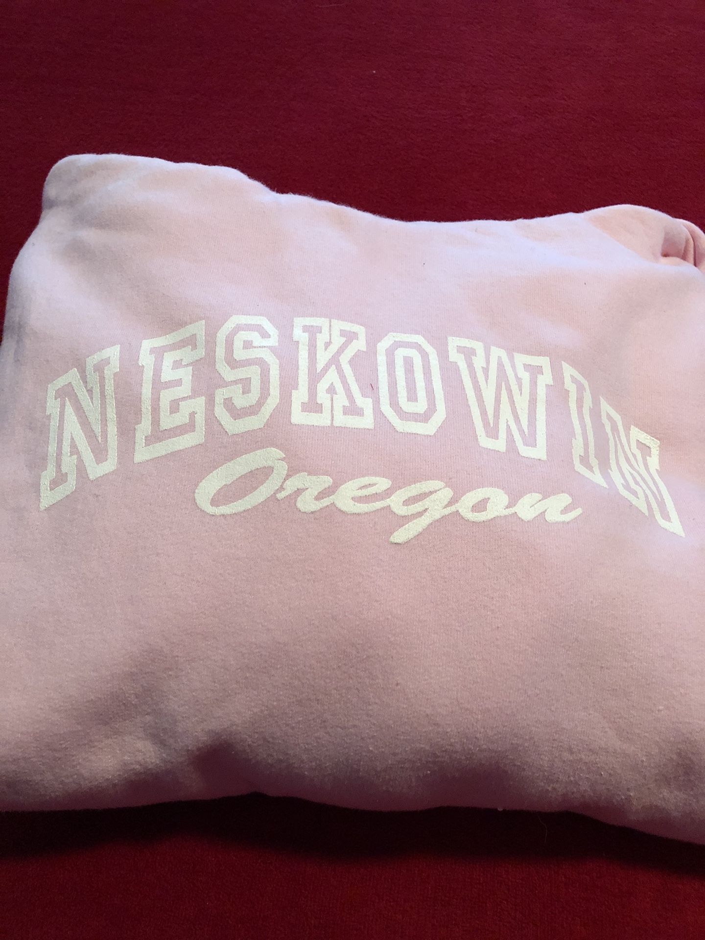 Pink hoodie size XL ~