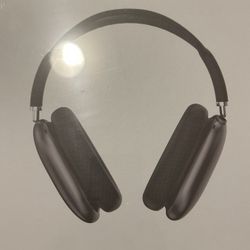 Apple AirPod Maxes