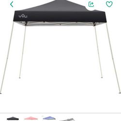 Canopy 10x10