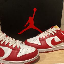 RED Nike Dunks 