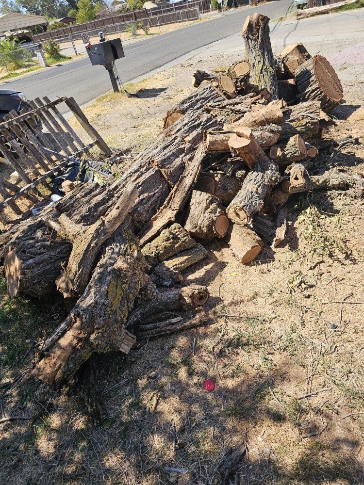 Firewood