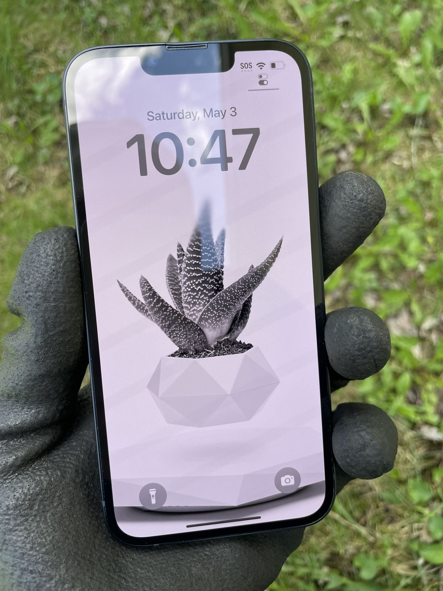 Unlocked iPhone 13 256 GB