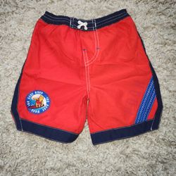 Disney's Pooh Swim Trunks 