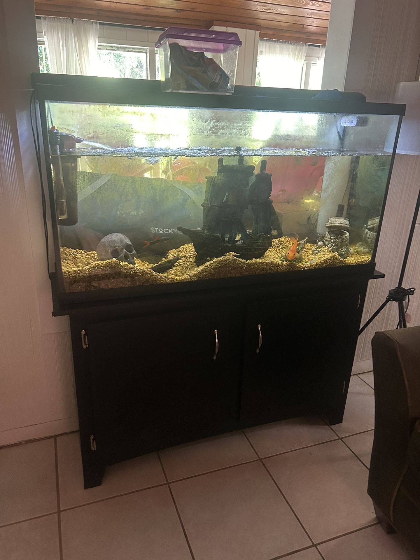 55 gallon Fish Tank