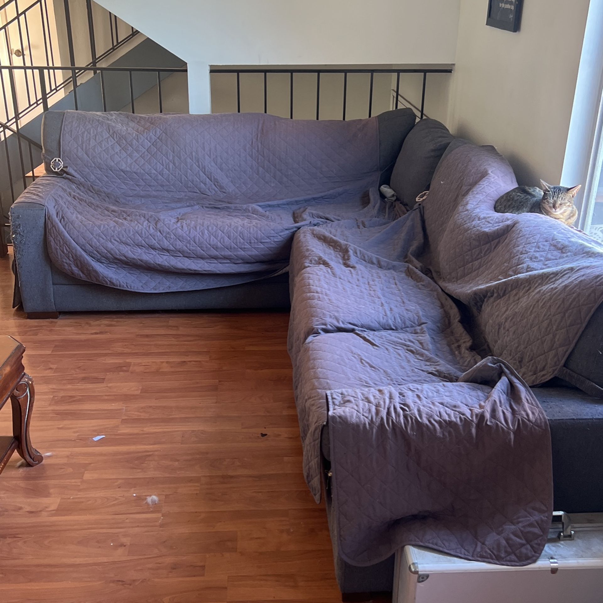Cheap Couch