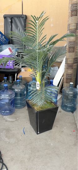 Fake plant