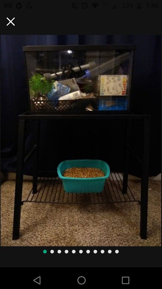 Fish Tank and Accessories