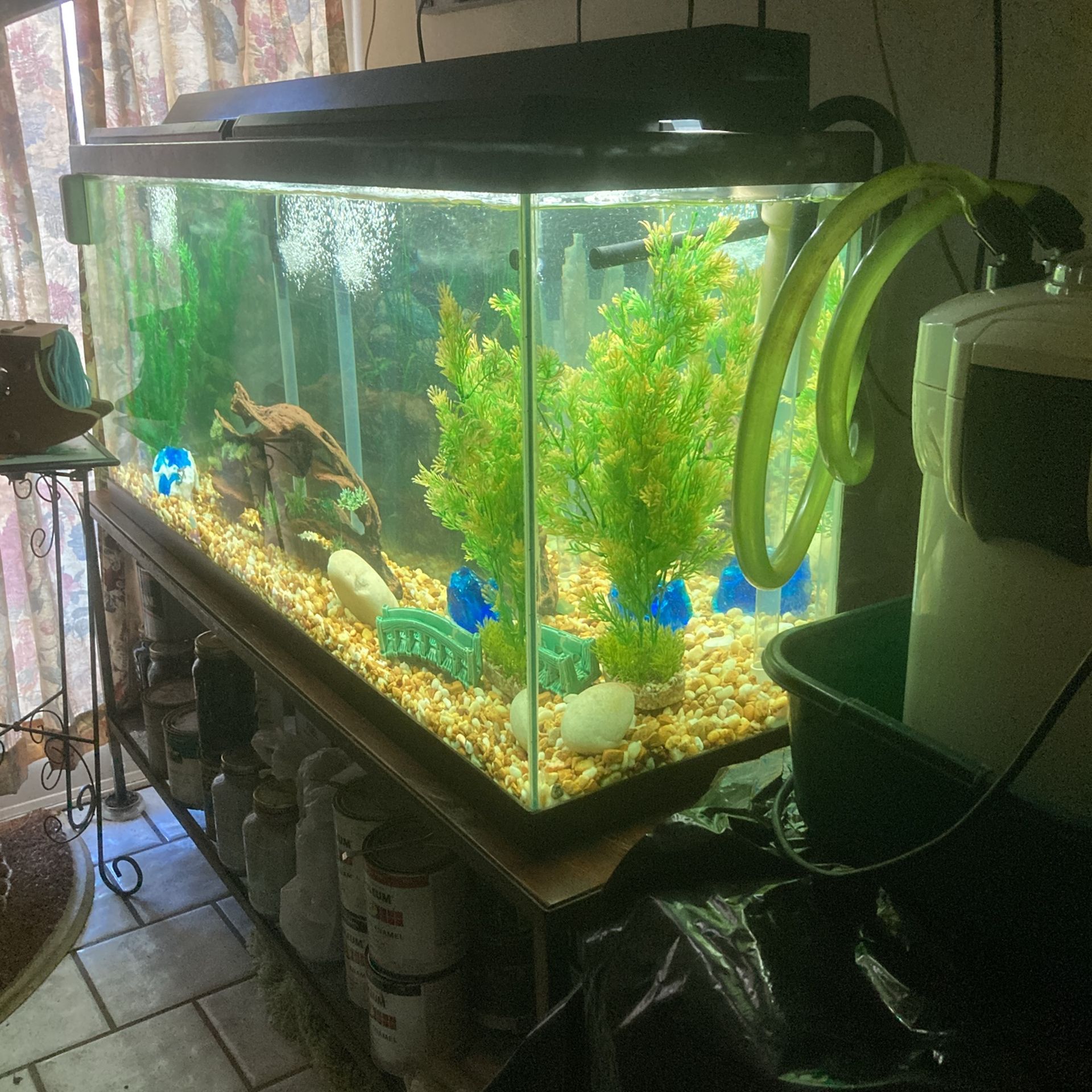 FISH TANK 55 Gallons Complete
