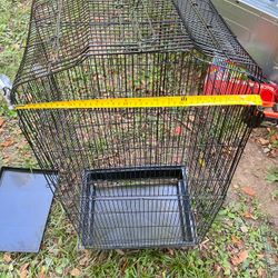 Rabbit or Guinea pig in closure