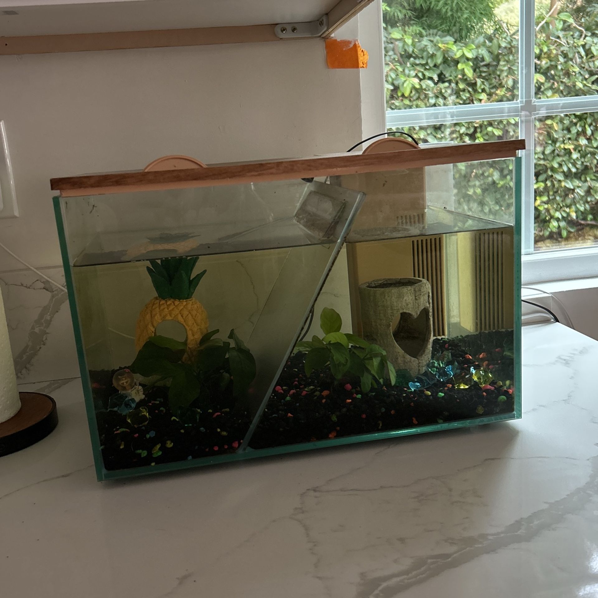 Fish Tank With Two Separate Sections