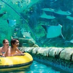 Seaworld tickets/boletos
