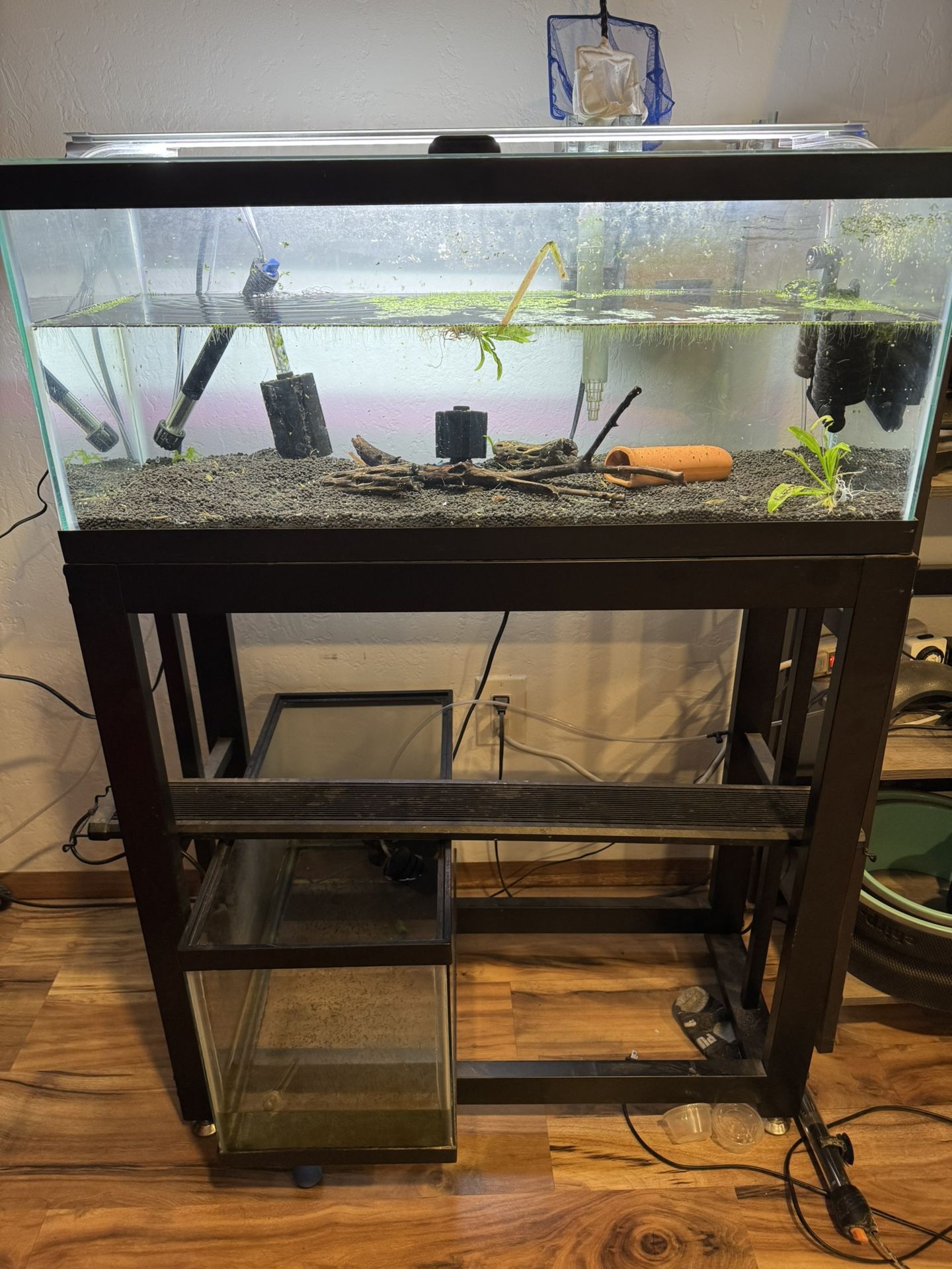 Fish Tank Supplies 