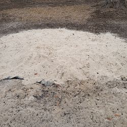 FREE pile of sand