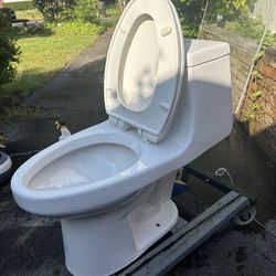 GLACIER BAY TOILET 