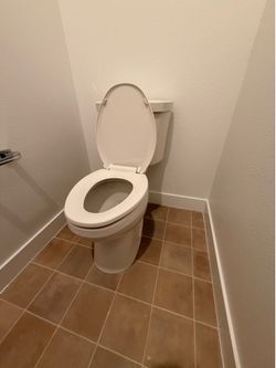 Ferguson proflo toilets